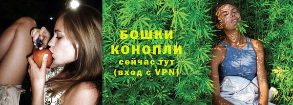 mdpv Волоколамск