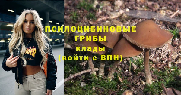 амф Нягань